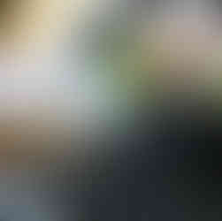 Fine-Art Retusche am kalibrierten Monitor im Fotostudio Zwingenberg – Bildbearbeitung bei Fotografenmeisterin Annette Stier