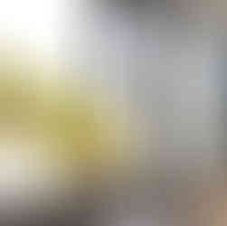 Orchidee vor Panoramafenstern im Fotostudio Heppenheim an der Bergstraße – Loft-Atmosphäre bei Fotografenmeisterin Annette Stier, Bensheim