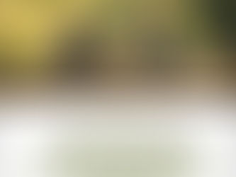 오늘을 걸으며 기다립니다!