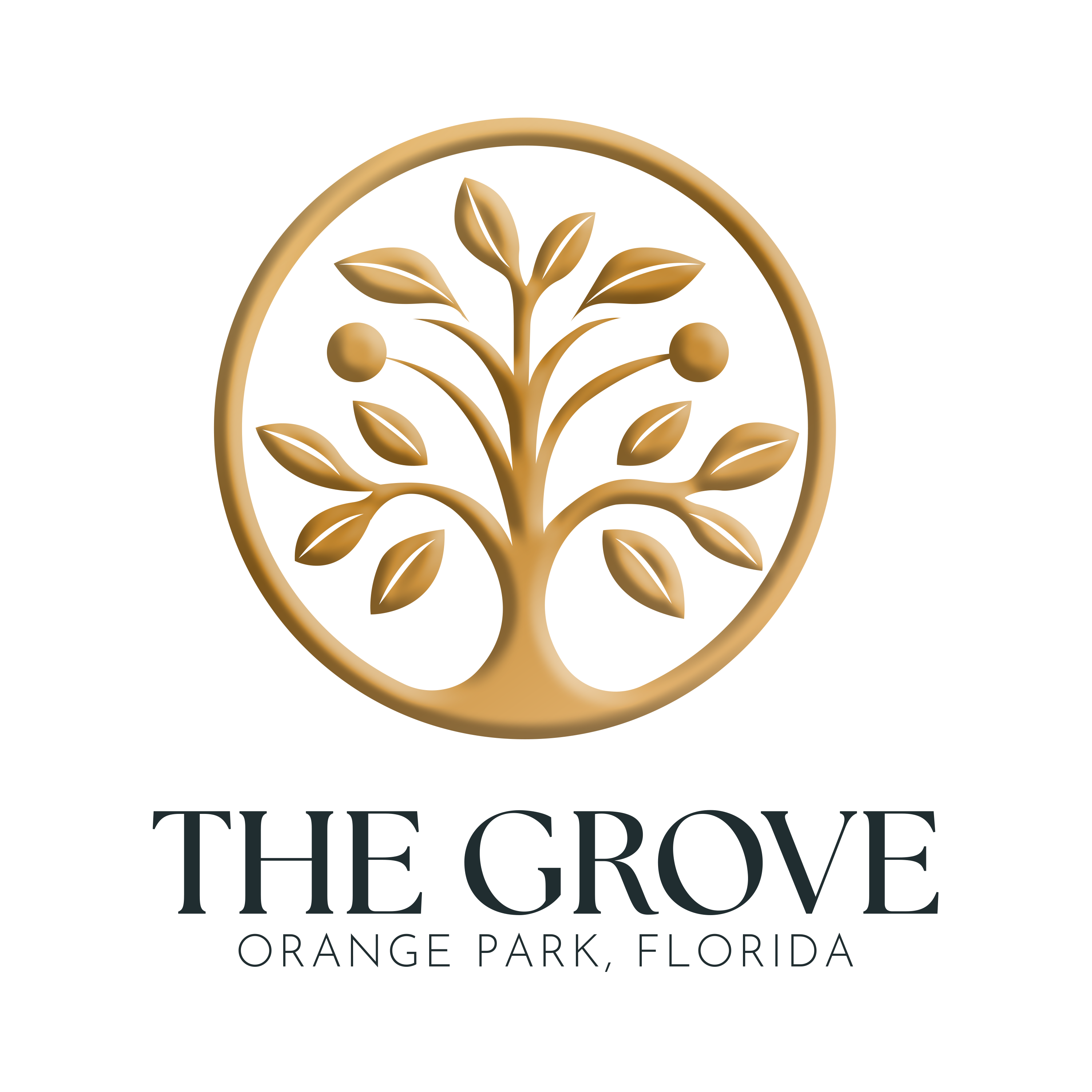 Writer: The Grove