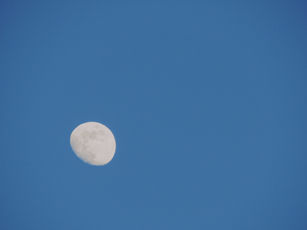 IMG_6753.jpg