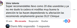 Captura de pantalla 2025-08-29 123817.png