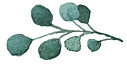 samfire memorials logo