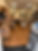 IMG_0758.jpeg