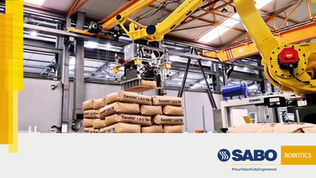 Robotic Bag Palletizer Installation for OMYA