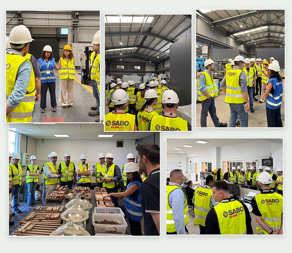 Open Day at SABO