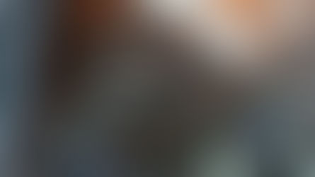 SABO MARINE Team in Power Plant Services