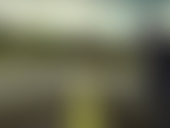 ¿Qué tipo de trader eres?