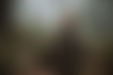 A Child foraging in the forest