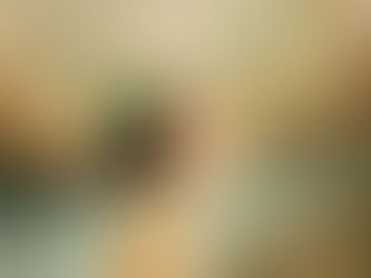 A gentle moment unfolding as a child reaches for tender willow buds, capturing the quiet arrival of spring and the beauty of small beginnings.