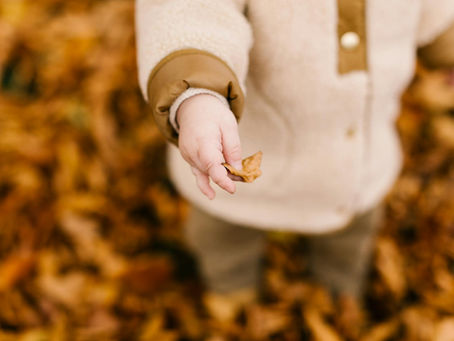 Engaging Autumn Play Activities for Preschoolers Inspired by Nordic Nature