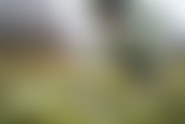 A child in a raincoat curiously observes vibrant moss glistening with dew in the early spring thaw.