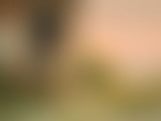 A young child sits peacefully at the entrance of a rustic house, cradling a glowing jar and surrounded by the gentle beauty of nature at dawn