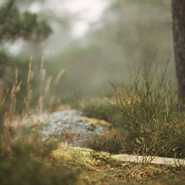 There Is No Bad Weather: Raising Outdoor Children the Nordic Way