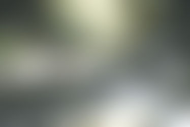 In the tranquil embrace of the meadow, a small snail navigates the rocky terrain, embodying the wisdom of patience and the beauty of finding one's own rhythm in life. The Gift of Slow invites us to appreciate the journey over the destination.