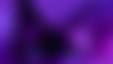 Foto violeta de un gato mirando