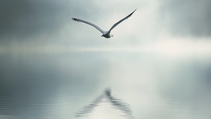 Color Gris Perla: significado simbólico (elegancia y sutileza)