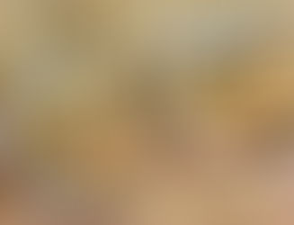 SALPICÃO DE FRANGO LIGHT