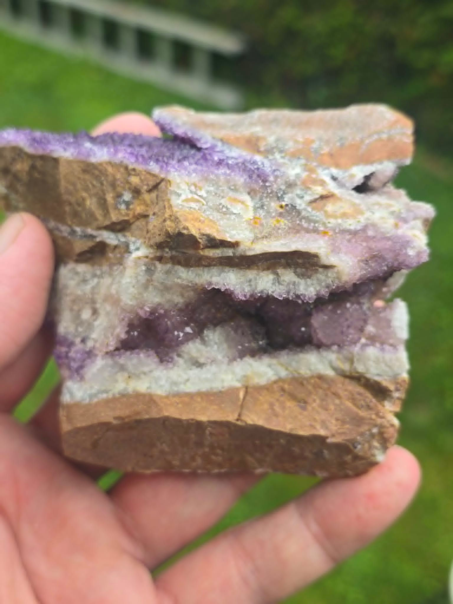 Superb Aggregated Amethyst — Diamond Willow Mine