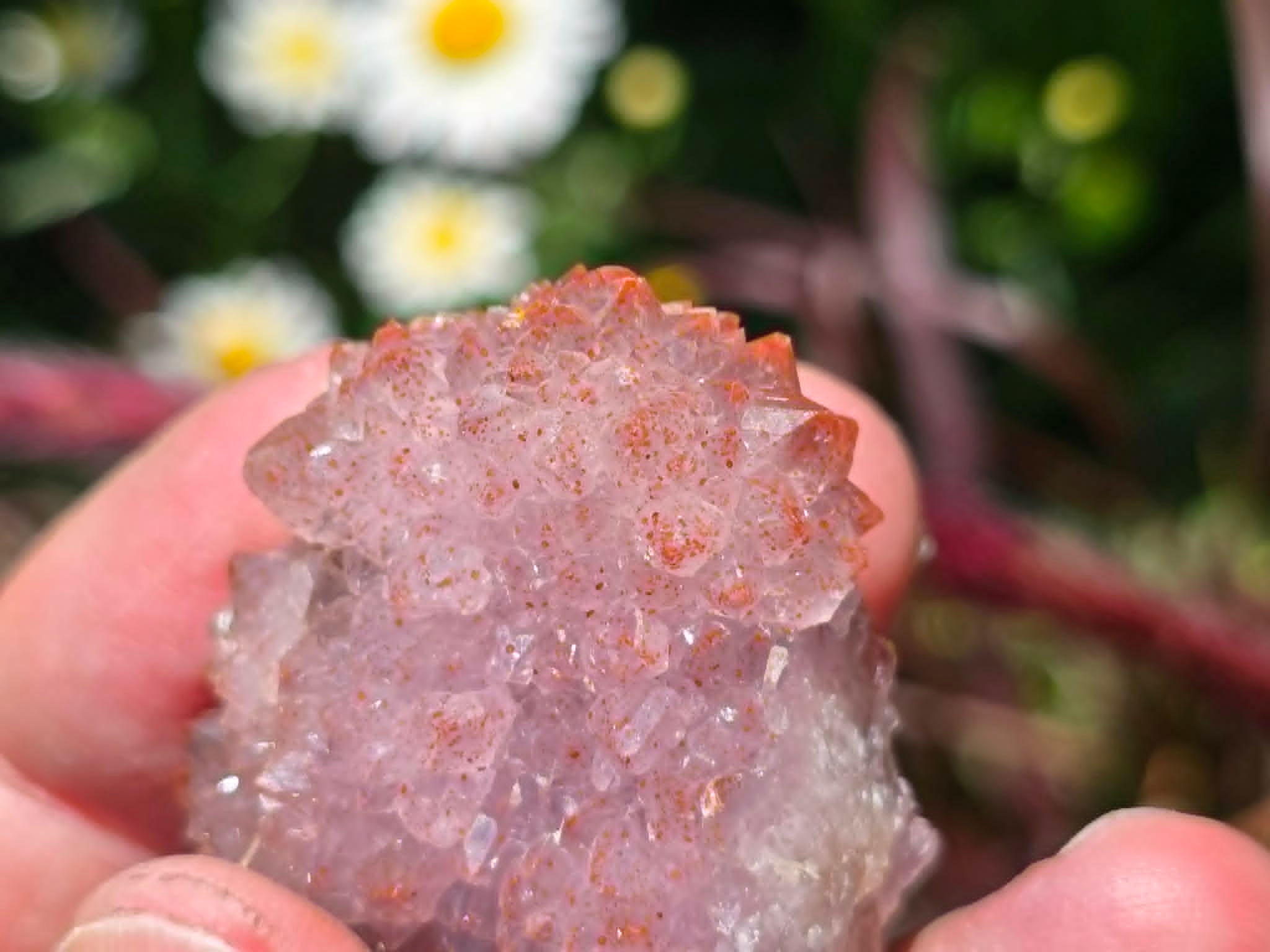 Nice Harlequin Amethyst from Diamond Willow mine (Self-Collected)