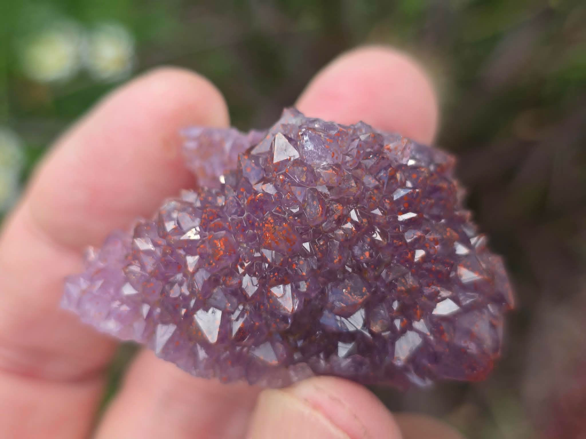 Nice Harlequin Amethyst from Diamond Willow mine (Self-Collected)