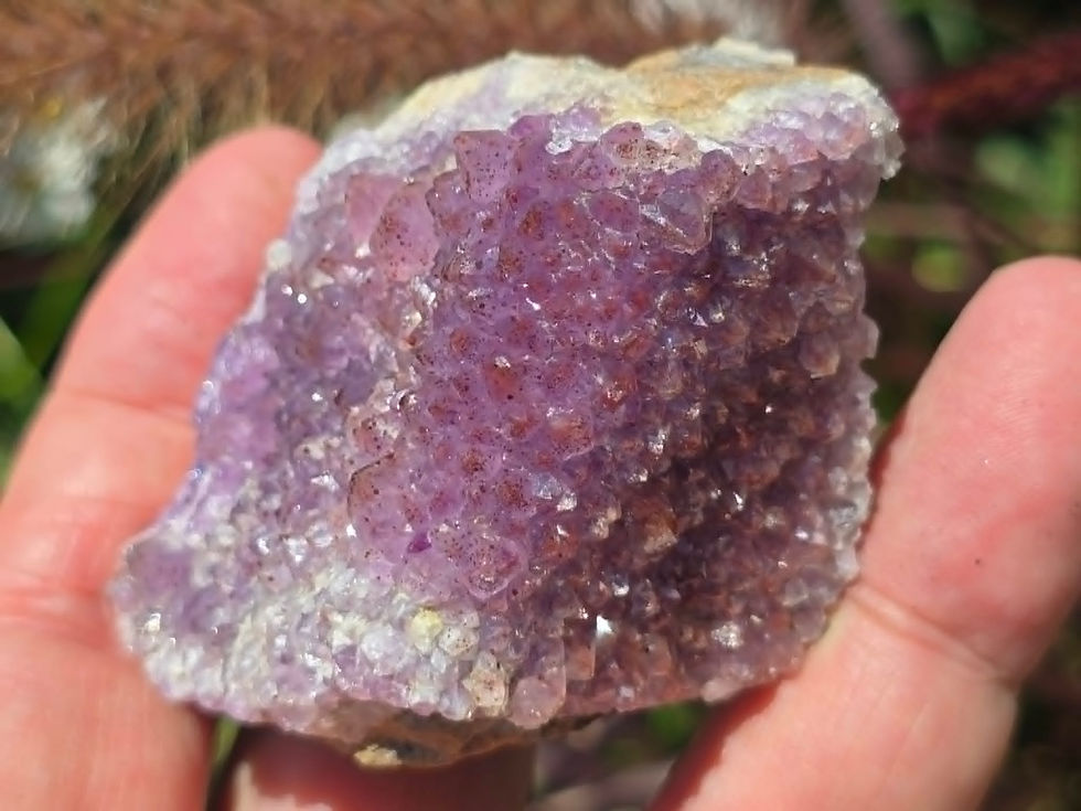 Thumbnail: Amethyst with Hematite Inclusions from Diamond Willow Amethyst Mine