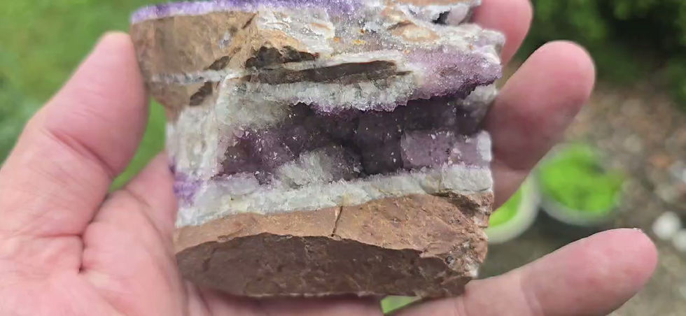 Miniature : Superbe Améthyste agglomérée de la Mine Diamond Willow