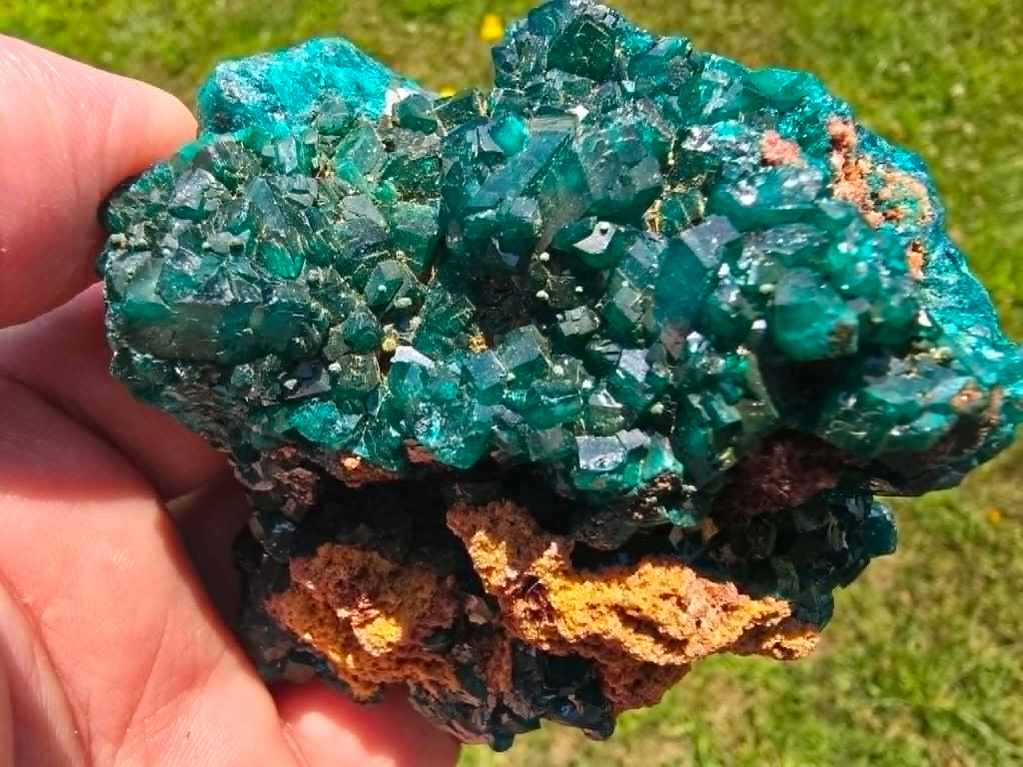 Striking Deep-Green Dioptase Cluster with Botryoidal Malachite & Shattuckitte