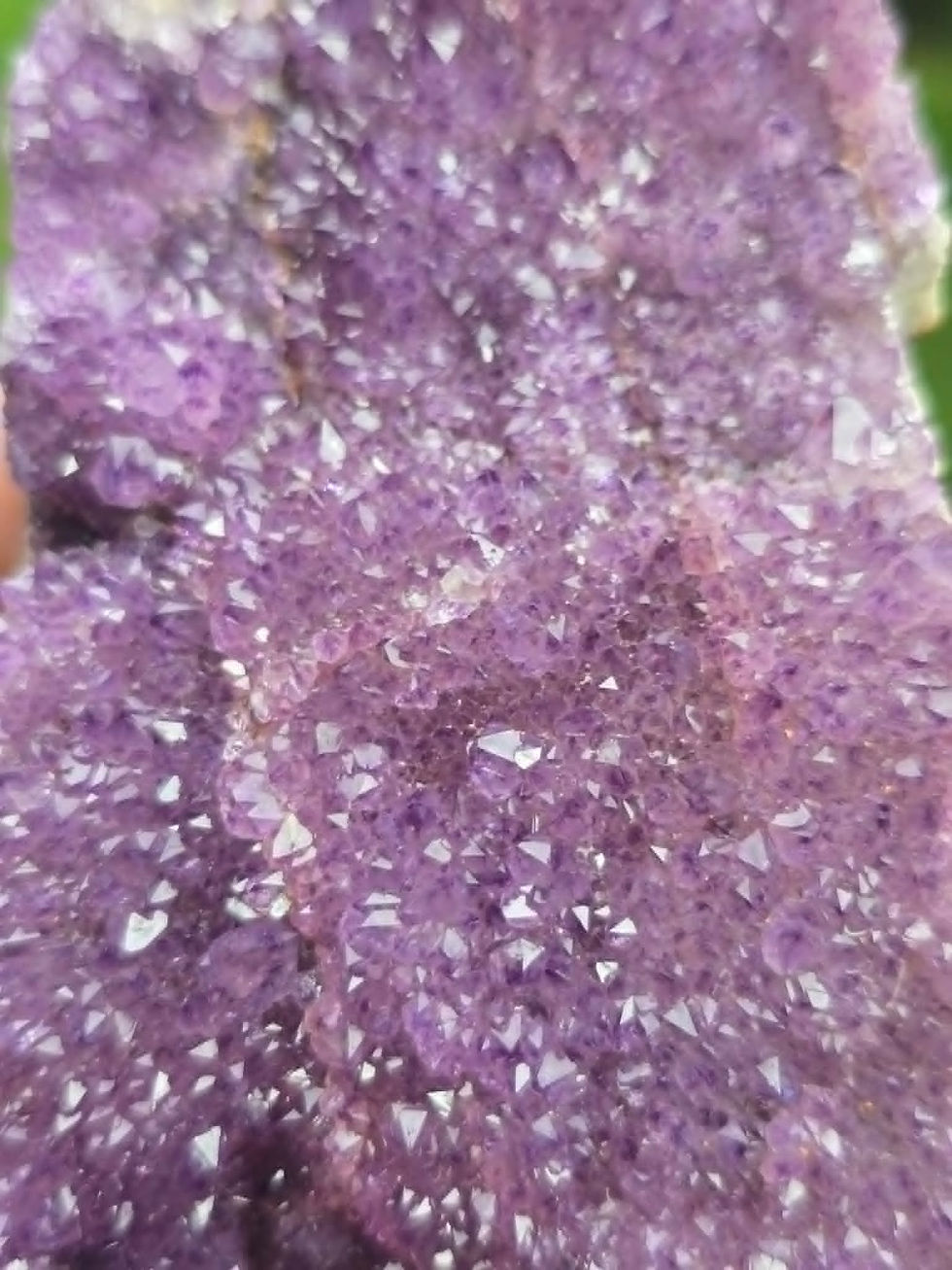 Thumbnail: Deep Purple Amethyst with Rich Druzy Coverage — Diamond Willow Mine