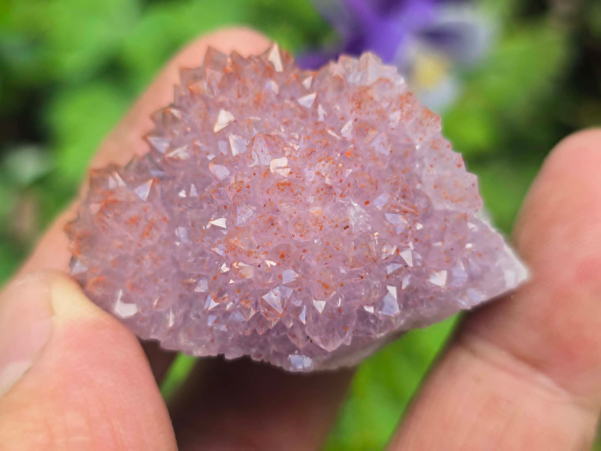 Nice Harlequin Amethyst from Diamond Willow mine (Self-Collected)