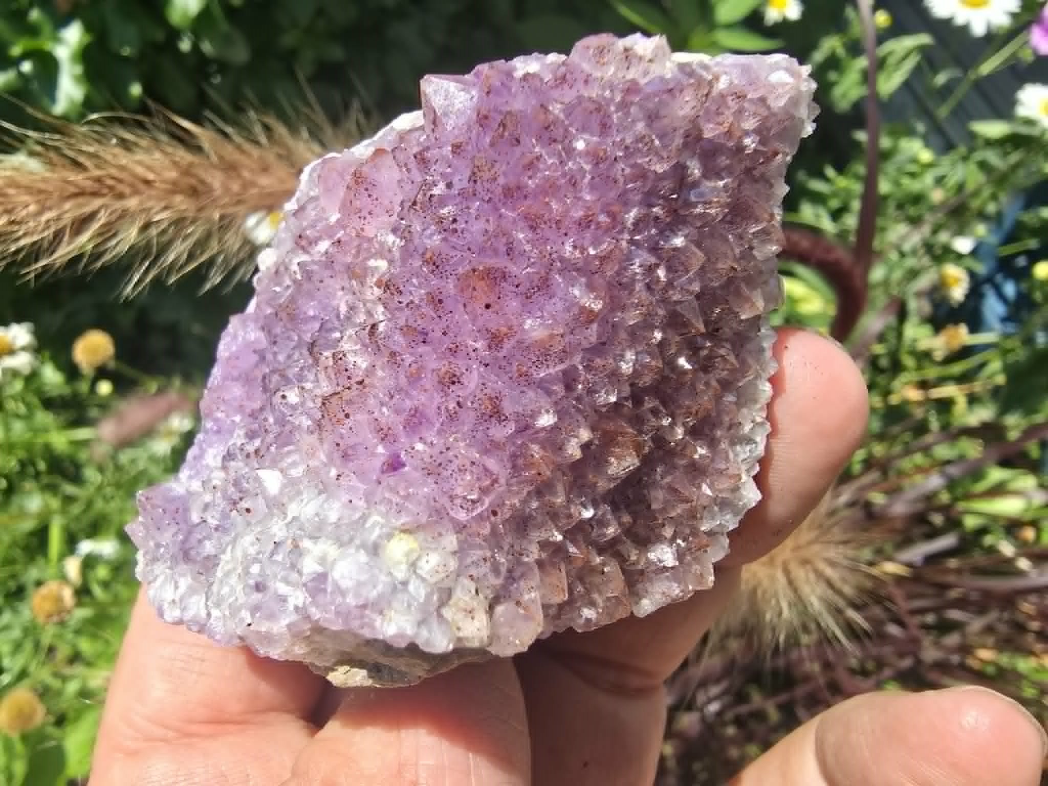 Amethyst with Hematite Inclusions from Diamond Willow Amethyst Mine