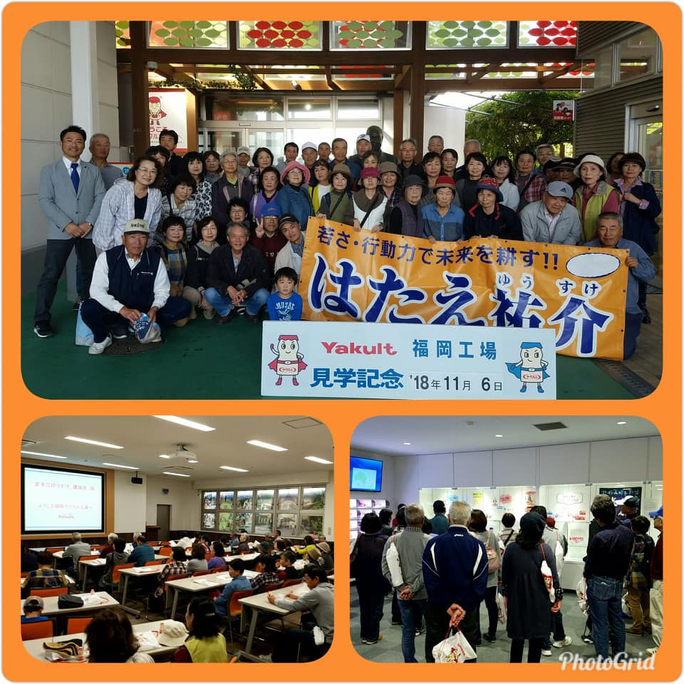 ヤクルト工場見学