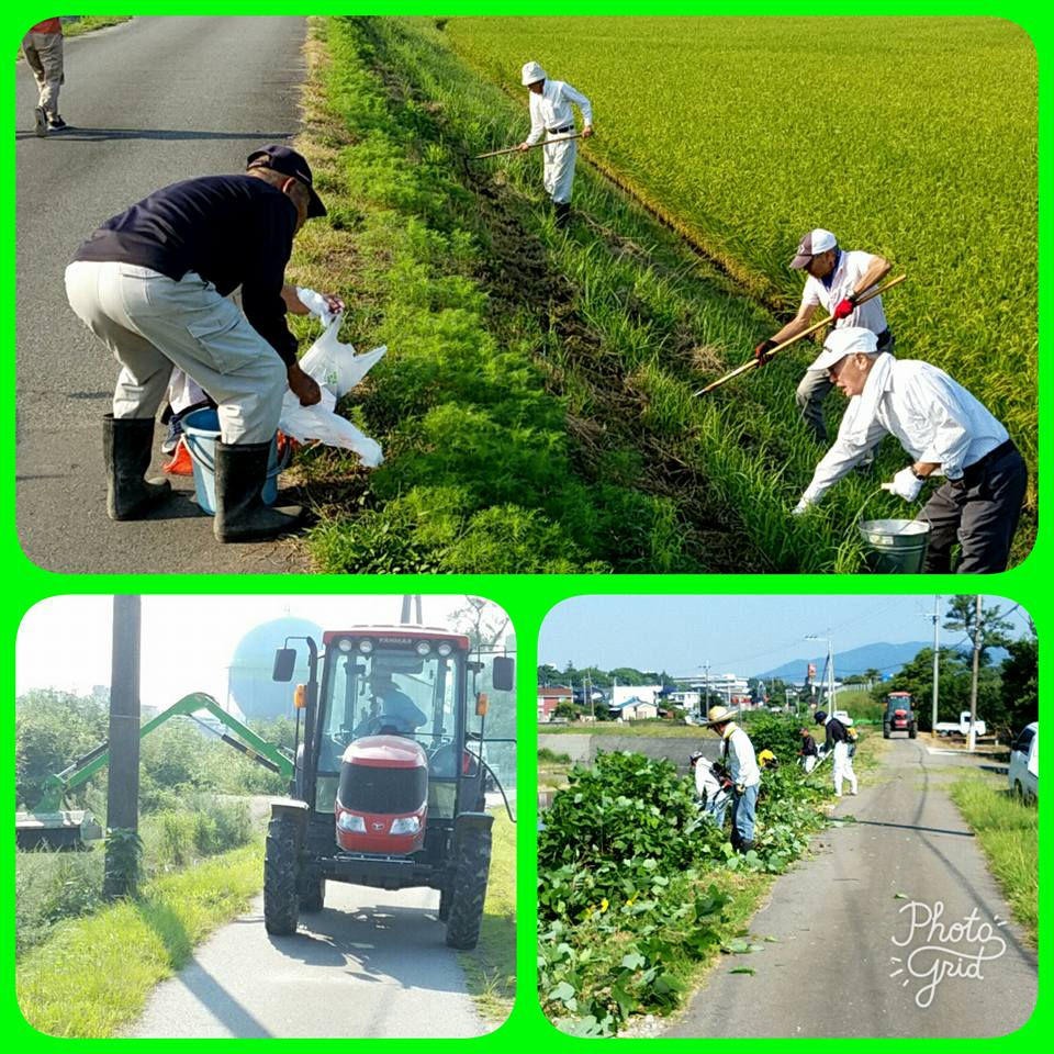 草刈り
