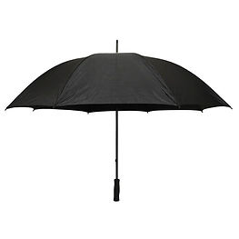 Umbrella.webp