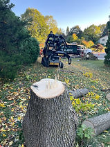 IMG_0463-preview.JPG
