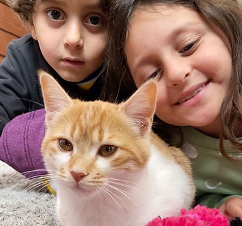 two kids with a ginger kitten