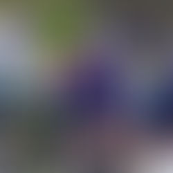 Onze sterren voor de Scheldeprijs: de Lage Landen scoren hoog