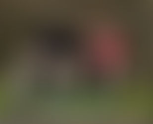 Transferstress? De Lead-Out to the rescue!