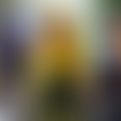 ONZE TIPS. Deze renners kunnen veel punten opleveren in de heuvelklassiekers