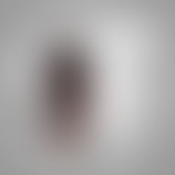 Willen we Wout weg? Dit is het oordeel van onze redactie