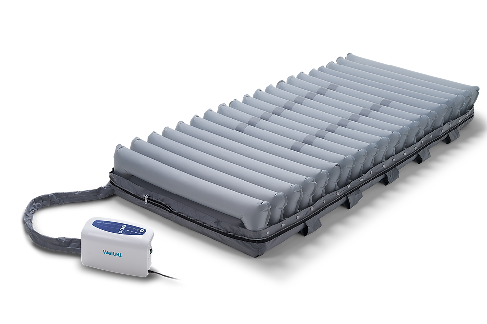 Thumbnail: Domus 4 V1