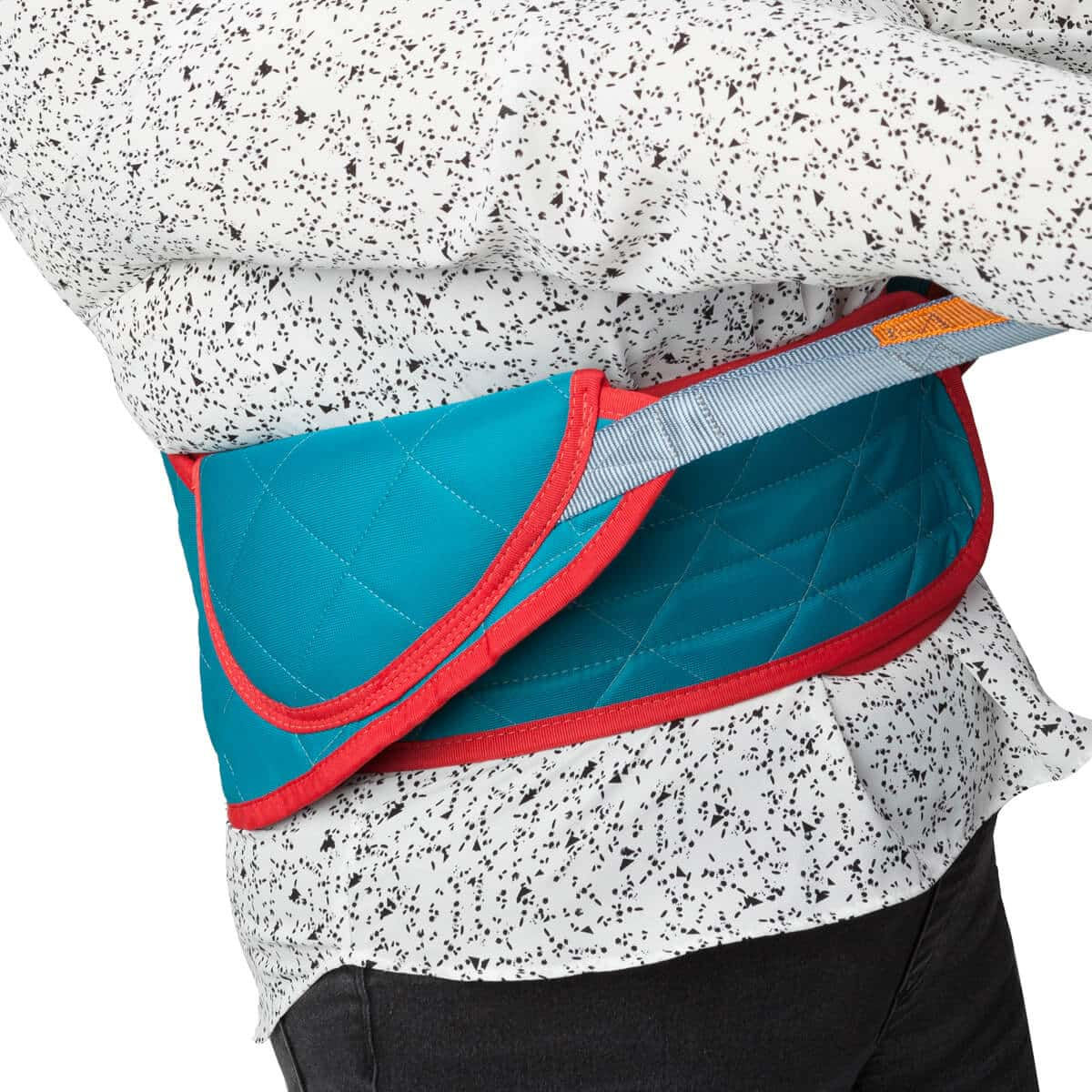 Stand Aid and Back Support Belt