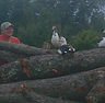 IMG_0309_edited.jpg