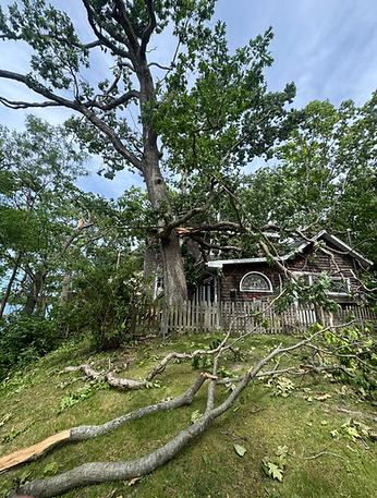 storm damage Angola
