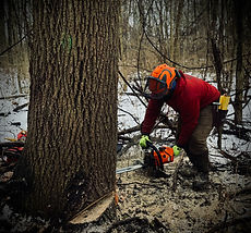 coldwater angola logger