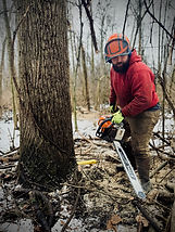Fort Wayne logging southbend battle creek