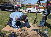 IMG_20240825_115230_edited.jpg