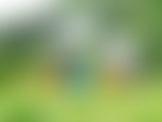 Thạc sĩ tâm lý Tô Nhi A: “Tự nhiên vừa là nhu cầu, vừa là phương tiện để trẻ phát triển”