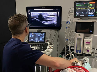 Veterinary Radiologist