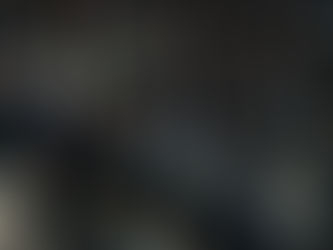 Photo reportage: Maestro Raimonds Pauls’ anniversary concert